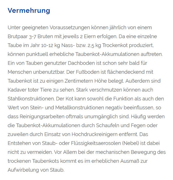 Tauben-Hilfe 